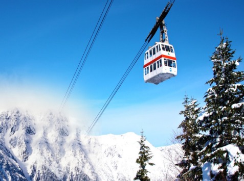 北陆温泉超值5日(名/富)~新穗高双层缆车,雪上活动三合一,冈崎城公园